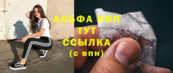 молекула духа Бородино