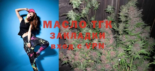 молекула духа Бородино