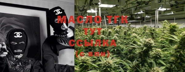 молекула духа Бородино