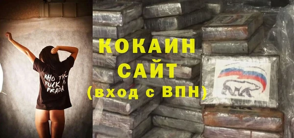 молекула духа Бородино